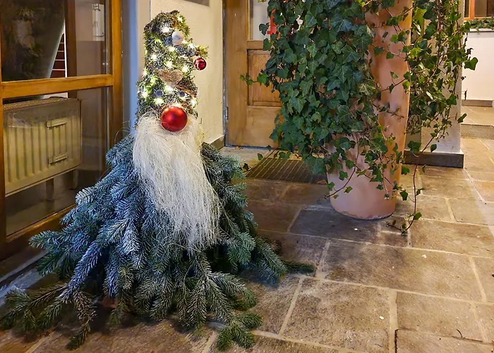 Bayerischer Wald Hfvi Hotel Neukirchen (Lower Bavaria)